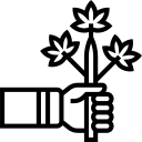 MPU Onlinekurs bei medizinischem Cannabis