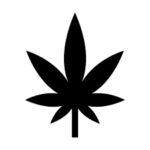 Cannabisgesetz (CannG), Entkriminalisierung und Führerschein