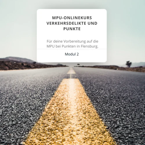 MPU-Onlinekurs Verkehrsdelikte und Punkte